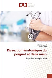 Dissection anatomique du poignet et de la main