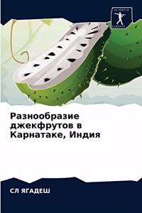 Разнообразие джекфрутов в Карнатаке, Инди