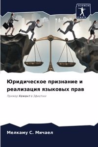 Юридическое признание и реализация языко