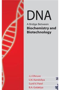 DNA: A Bridge Between Biochemistry and Biotechnology