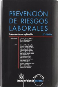 Prevencion De Riesgos Laboreles Instrum