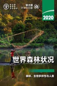 The State of the World's Forests 2020 (Chinese Edition)