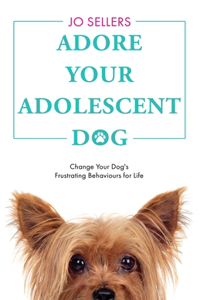 Adore Your Adolescent Dog