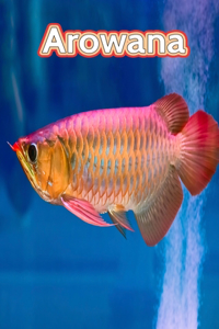 Arowana