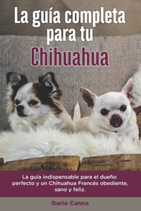 Guía Completa Para Tu Chihuahua