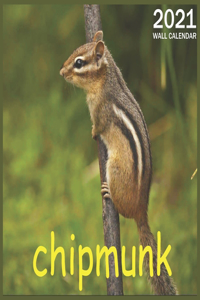 chipmunk