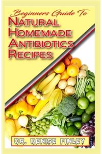 Beginners Guide To Natural Homemade Antibiotics Recipes