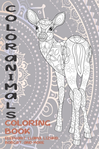 Color Animals - Coloring Book - Elephant, Llama, Lizard, Bobcat, and more