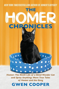 Homer Chronicles