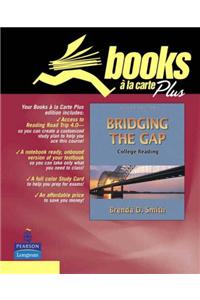 Bridgng the Gap