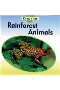 Rainforest Animals