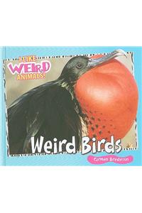 Weird Birds