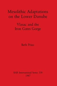 Mesolithic Adaptations on the Lower Danube