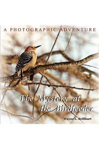 The Mystery at the Birdfeeder