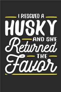 I Rescued a Husky and She Returned the Favor