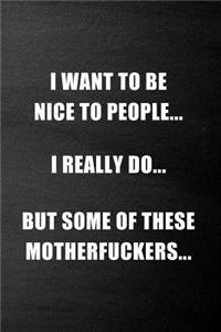 I Want To Be Nice To People; I Really Do