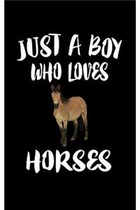 Just A Boy Who Loves Horses