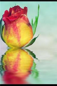 Life Is Only a Reflection of What We Allow Ourselves to See