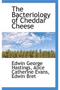 Bacteriology of Cheddar Cheese