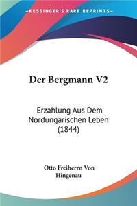 Der Bergmann V2