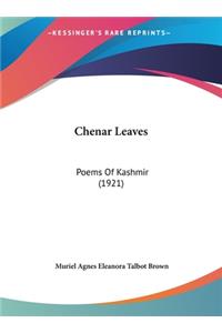 Chenar Leaves