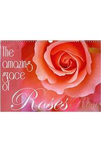 Amazing Grace of Roses 2018