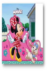 Disney Minnie Mouse My Storybook Library