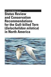 Status Review and Conservation Recommendations for the Gull-billed Tern (Gelochelidon nilotica) in North America