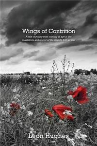 Wings of contrition: A tale of young men coming of age in the maelstrom and horror of the world's first air war