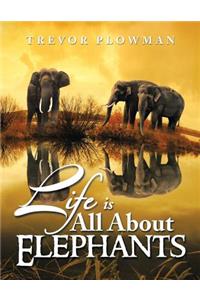 Life Is All about Elephants