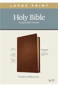 KJV Large Print Thinline Reference Bible, Filament Edition