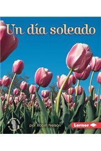 Un Dï¿½a Soleado (a Sunny Day)