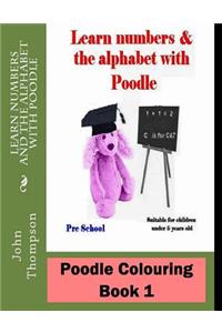 Poodle Colouring Book 1