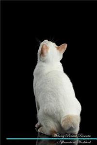 Mekong Bobtail Affirmations Workbook Mekong Bobtail Presents