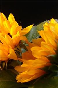 Sunflower Journal