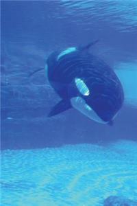 Orca the Killer Whale Underwater Journal