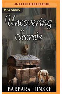 Uncovering Secrets