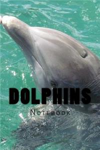 Dolphins