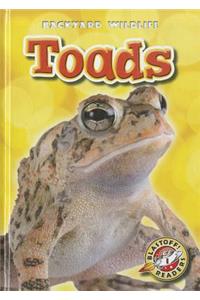 Toads
