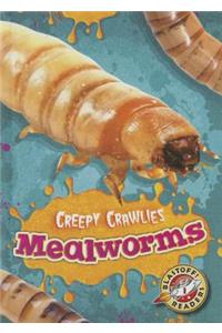 Mealworms
