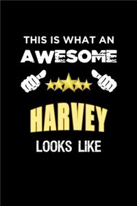 This Is What An Awesome Harvey Looks Like