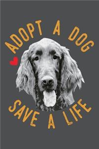 Adopt A Dog Save A Life