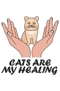 Cats Are My Healing: Katze Katzenmama Katzenliebhaber Dina5 Blanko Malheft Notizbuch Tagebuch Planer Notizblock Kladde Journal Strazze