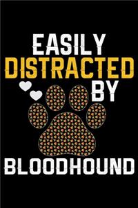 Easily Distracted by Bloodhound