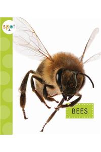 Bees