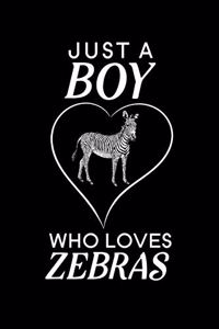 Just A Boy Who Loves Zebras