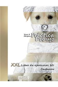 Práctica Dibujo - XXL Libro de ejercicios 10