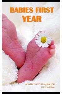Babies First Year Monthly Note Planner 2019 1 Year Calendar