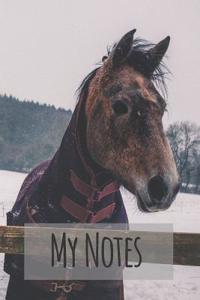 My Notes
