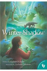 Winter Shadow